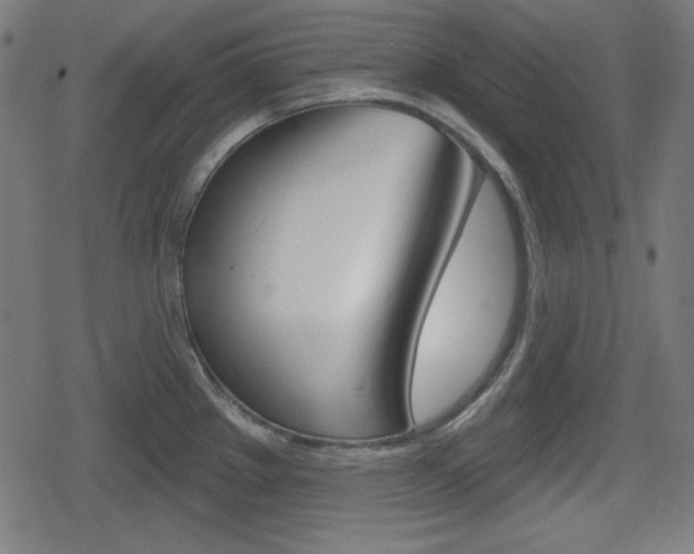 X0000078851289200611130925
