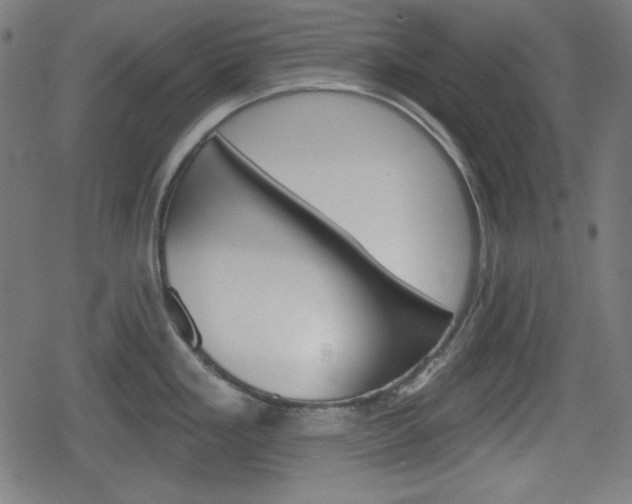 X0000078851293200611130925