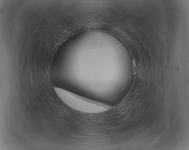 X0000078851298200611130924