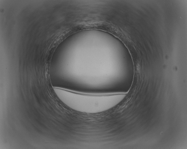 X0000078851300200611130924