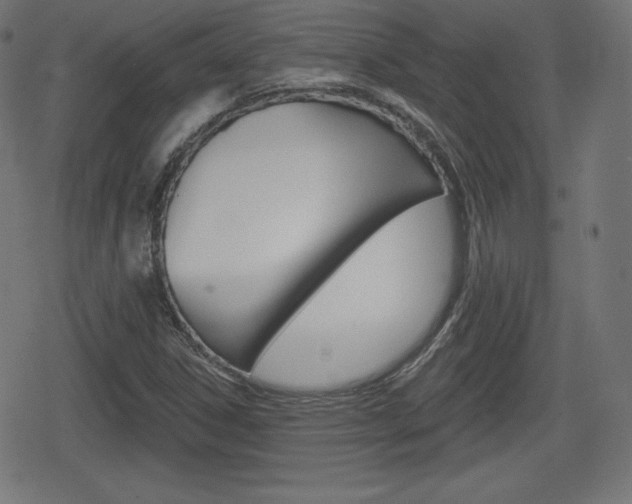 X0000078851306200611130924