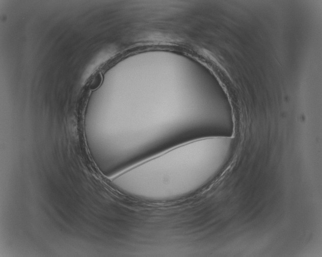 X0000078851307200611130924