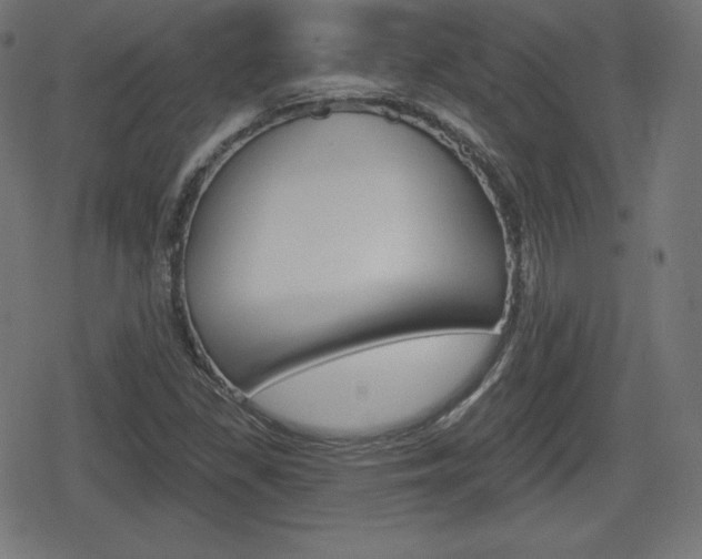 X0000078851309200611130924
