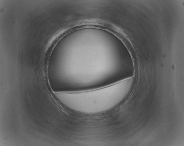 X0000078851312200611130924