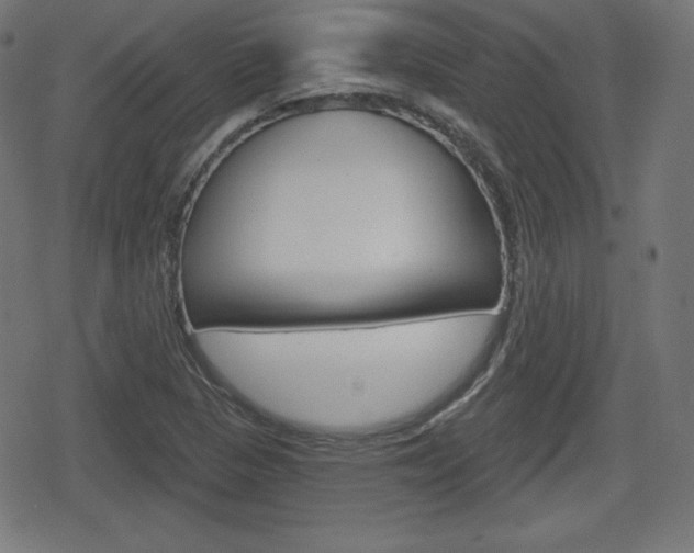 X0000078851313200611130925