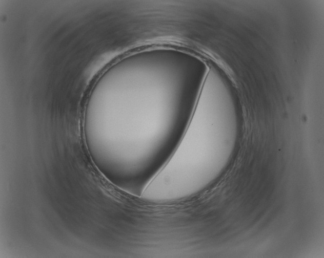 X0000078851316200611130925