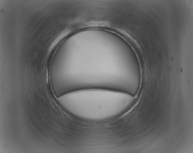 X0000078851317200611130925