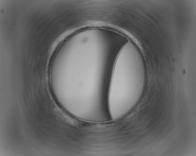 X0000078851327200611130925