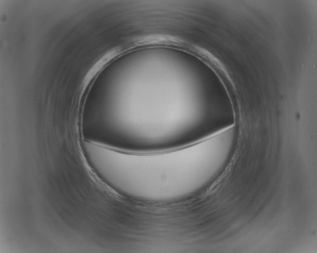 X0000078851330200611130925
