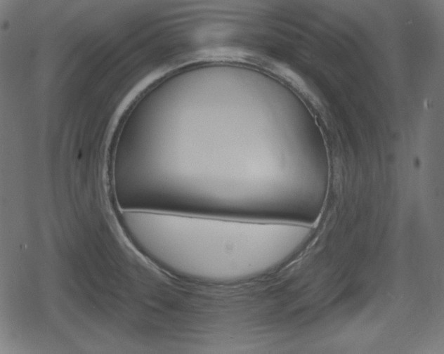 X0000078851331200611130925