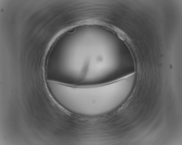 X0000078851334200611130925