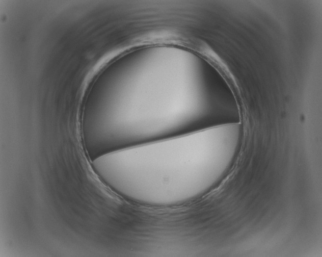 X0000078851336200611130925