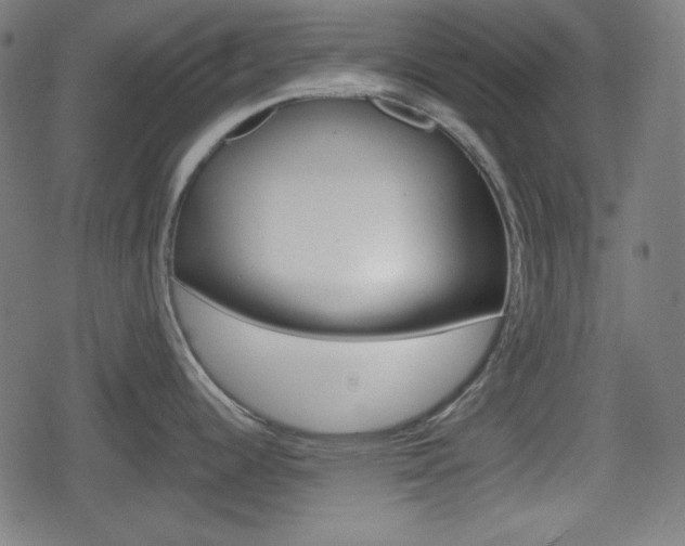 X0000078851344200611130925