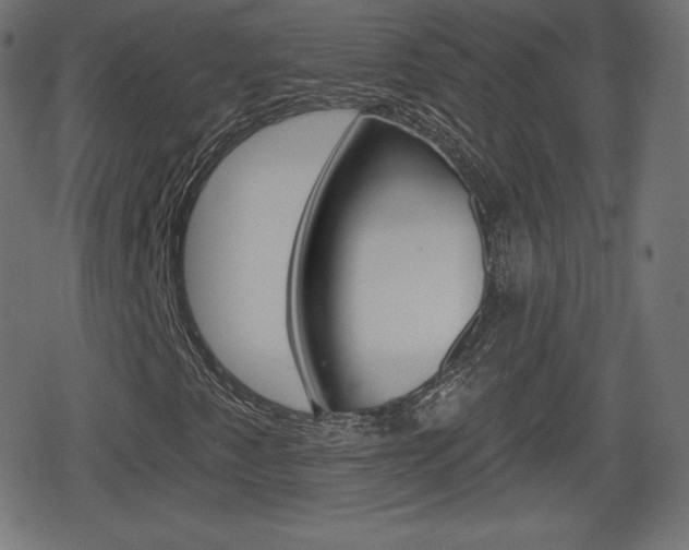 X0000078851345200611130924