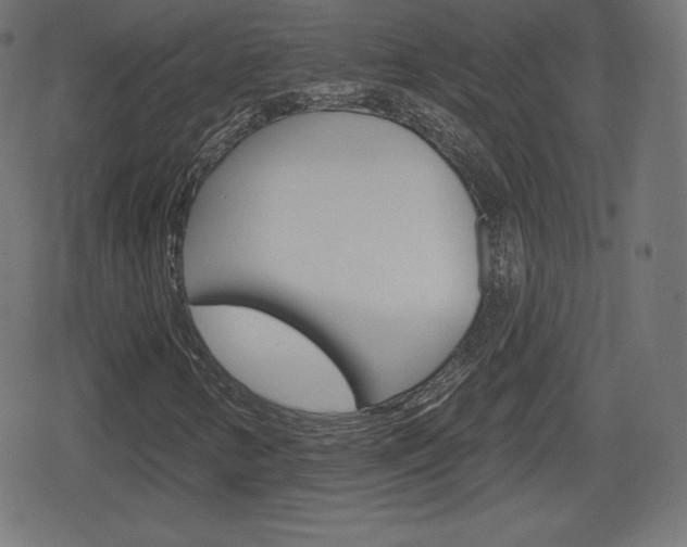 X0000078851346200611130924