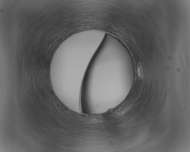 X0000078851347200611130924