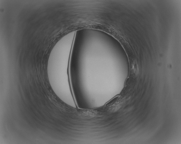 X0000078851348200611130924
