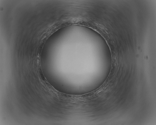 X0000078851349200611130924