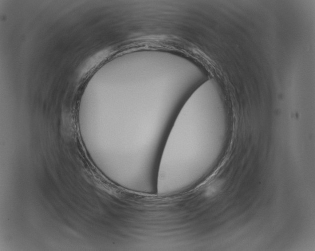 X0000078851354200611130924