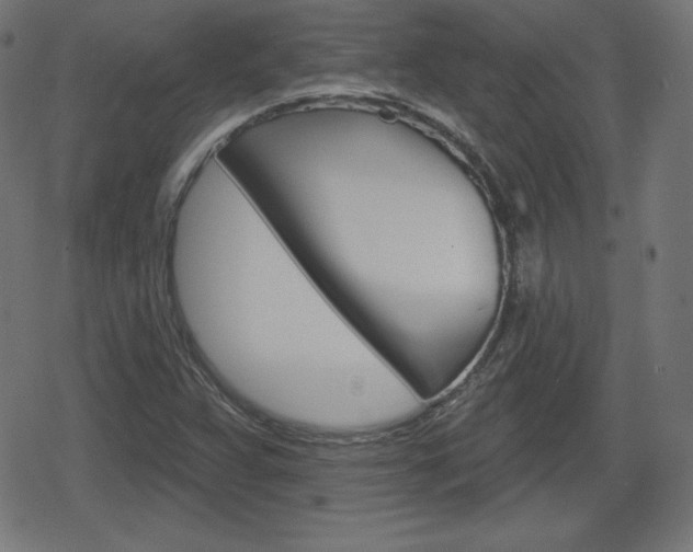 X0000078851359200611130924