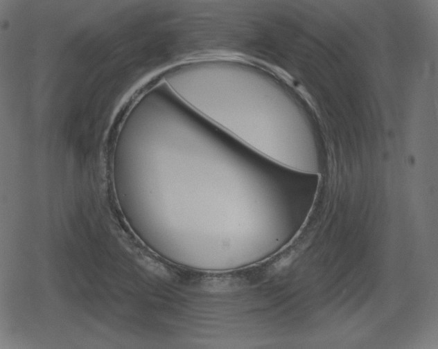 X0000078851364200611130924