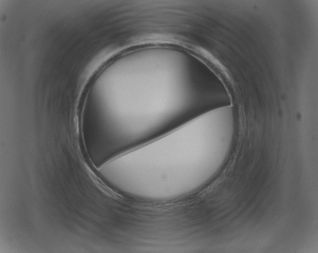 X0000078851372200611130924