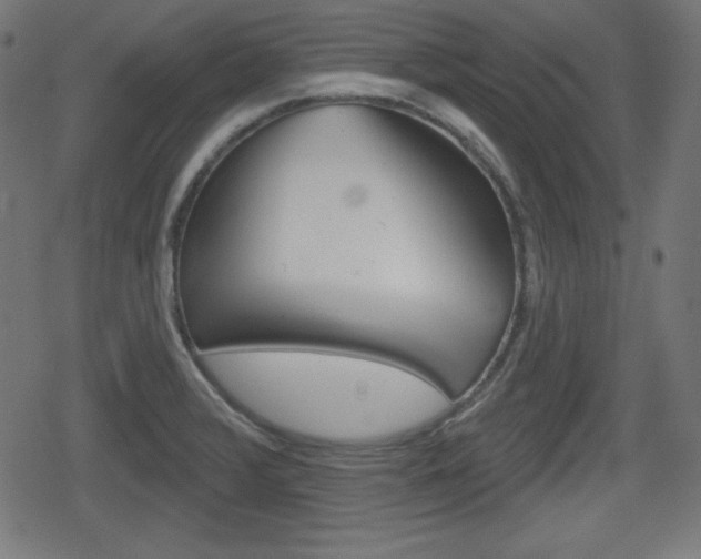 X0000078851376200611130924