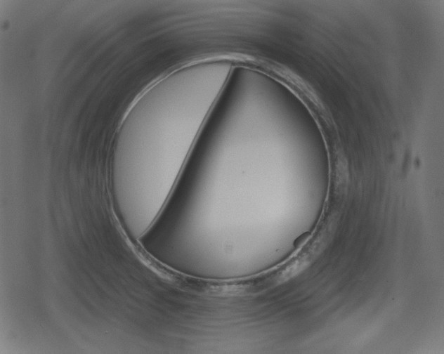 X0000078851377200611130924