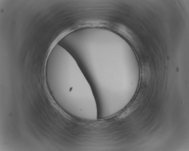 X0000078851378200611130924
