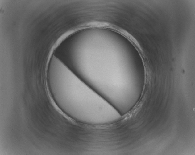 X0000078851381200611130924