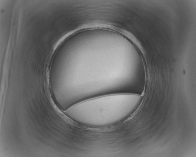 X0000078851388200611130924