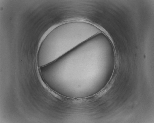 X0000078851389200611130924