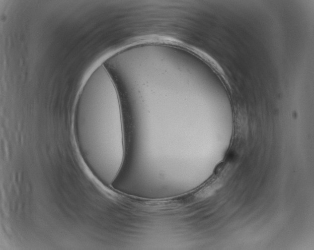 X0000078851391200611130923