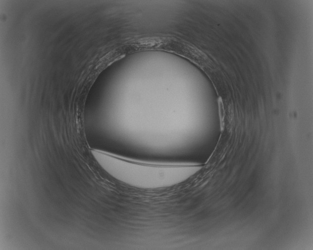 X0000078851394200611130923