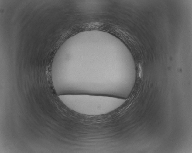 X0000078851395200611130923