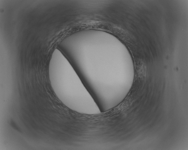 X0000078851397200611130923