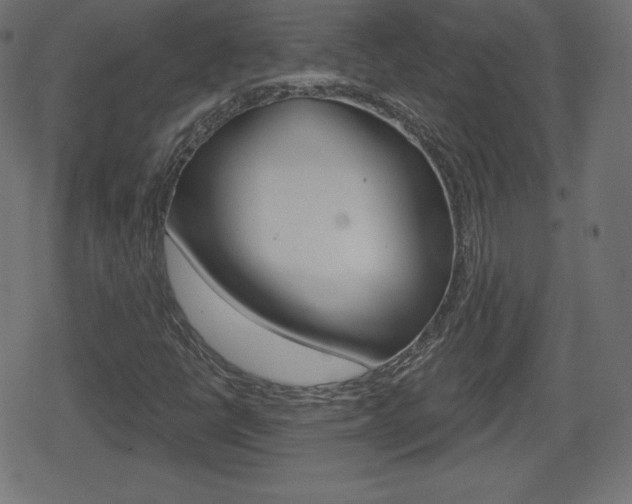 X0000078851398200611130923