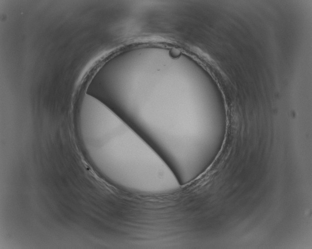 X0000078851408200611130923