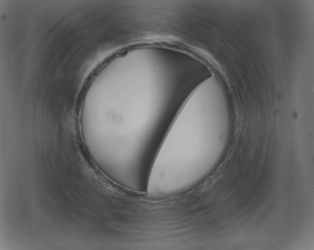 X0000078851412200611130923
