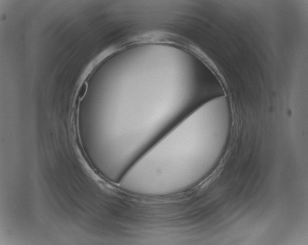 X0000078851434200611130923