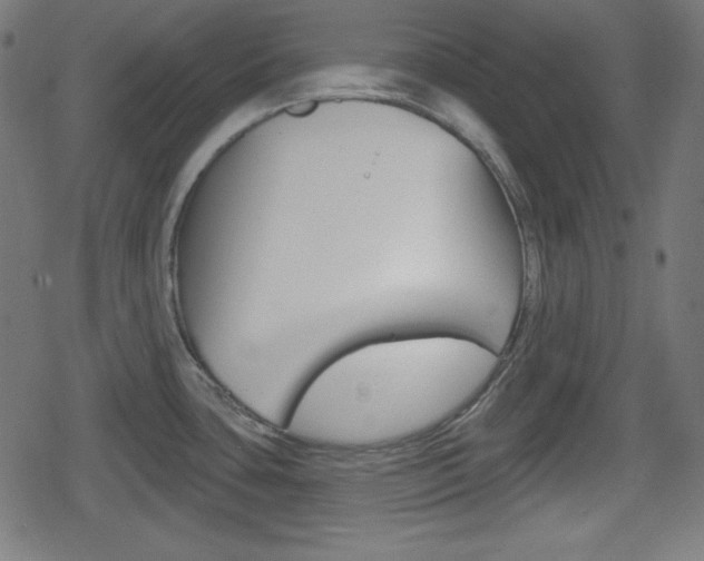 X0000078851435200611130923