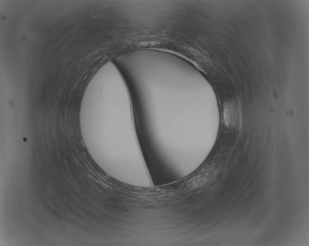 X0000078851444200611130923
