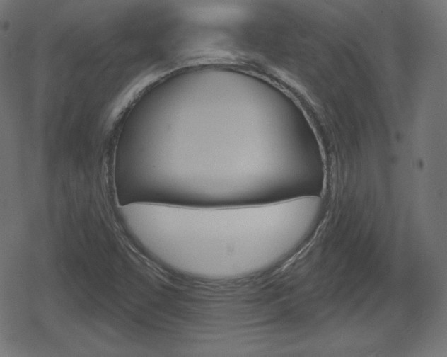 X0000078851455200611130922