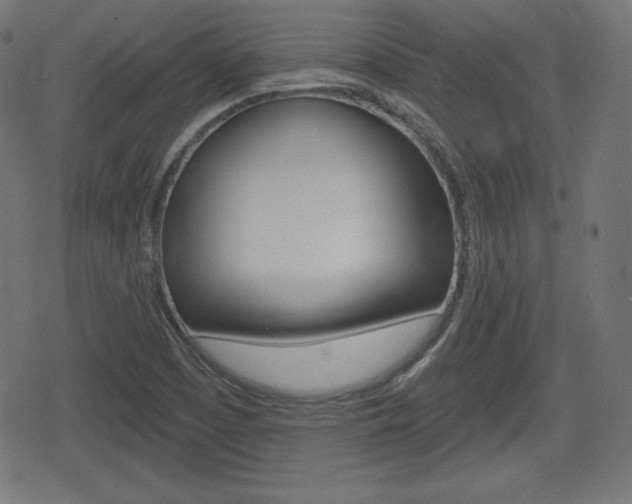 X0000078851457200611130922