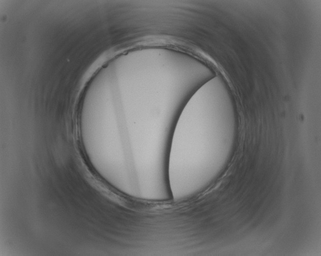 X0000078851467200611130922