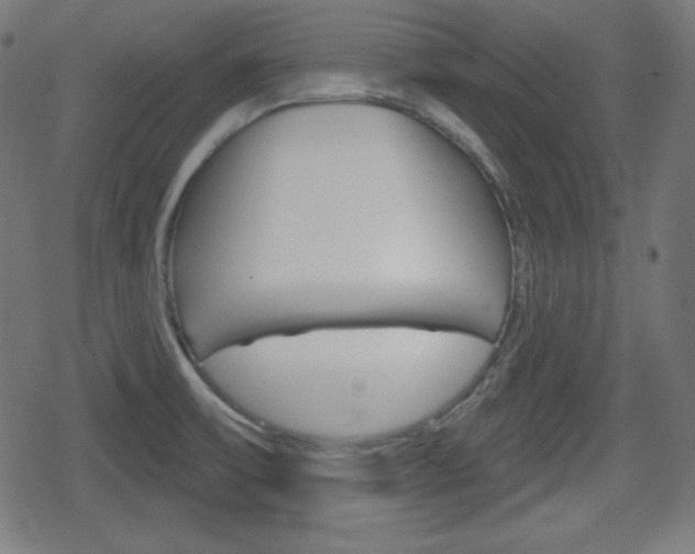 X0000078851475200611130922
