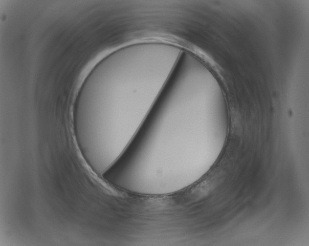 X0000078851480200611130922