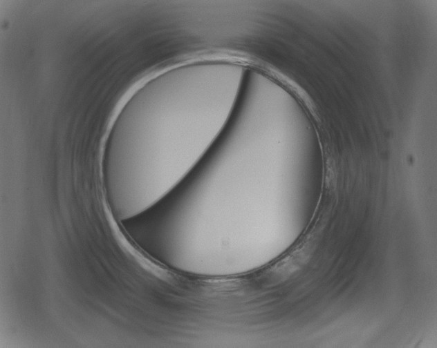 X0000078851483200611130922