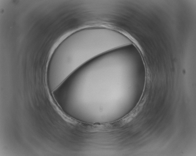 X0000078851485200611130922
