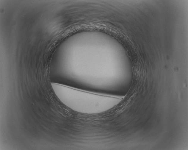 X0000078851490200611130921